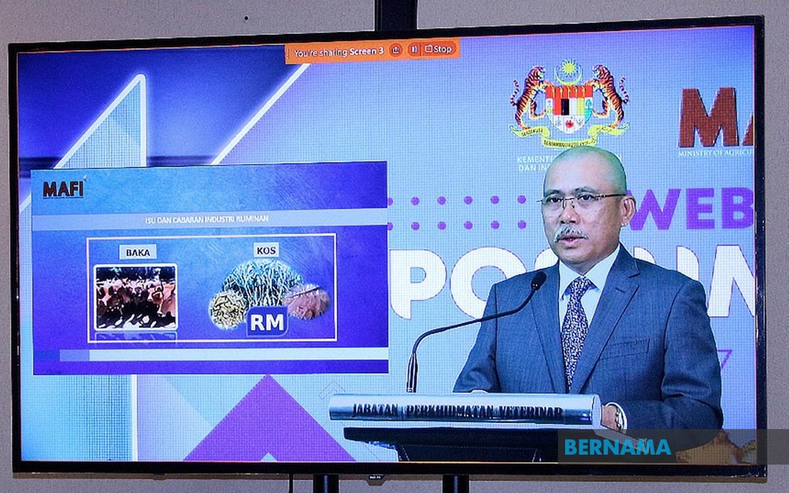 Bernama Pelan Strategik Dilancar Pacu Industri Ruminan Ke Tahap Optimum