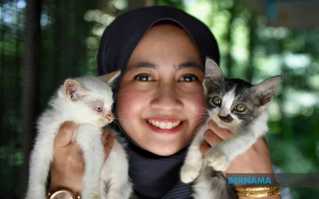 BERNAMA - Taman Kucing Dungun, tarikan baharu peminat haiwan