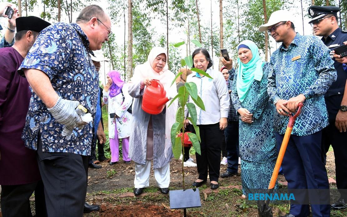 BERNAMA - COMMUNITY EUCALYPTUS PLANTATIONS WILL BOOST TIMBER INDUSTRY