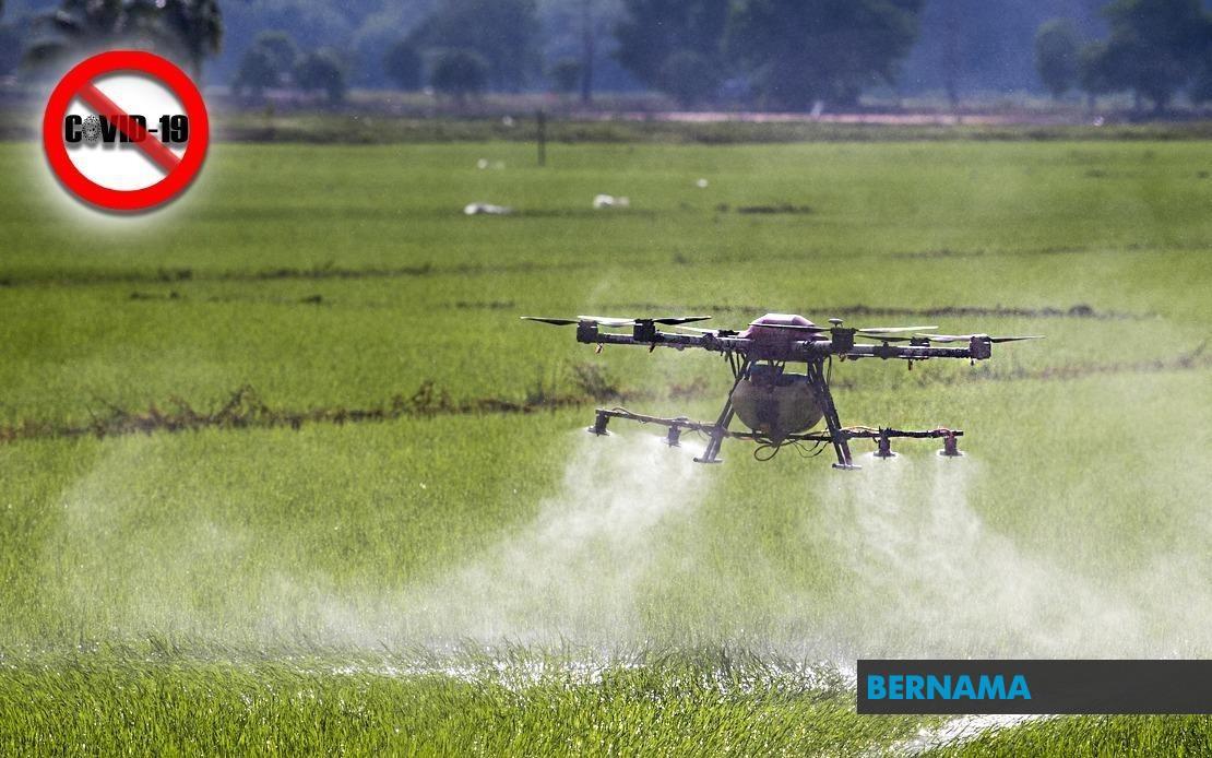 cara untuk menggalakkan generasi muda menceburi bidang pertanian