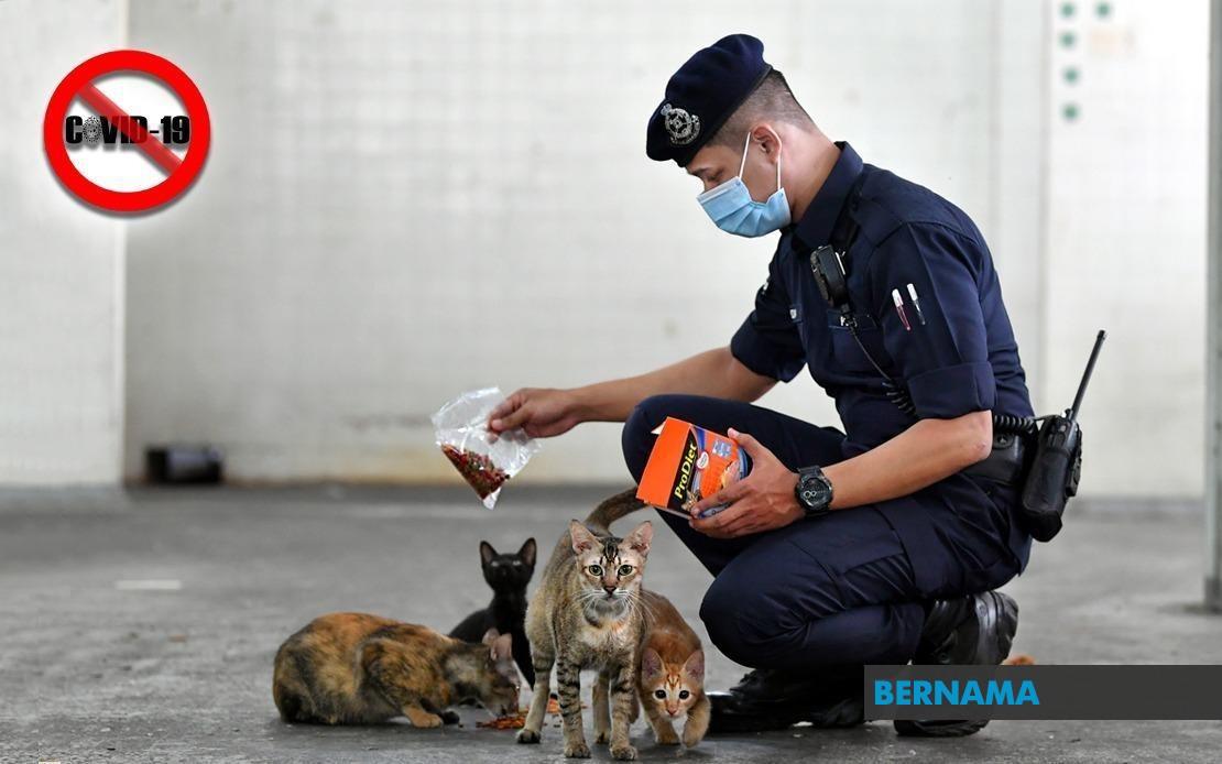 Bernama Tahap Kesedaran Rendah Punca Kezaliman Terhadap Haiwan Masih Berleluasa Jpv