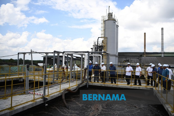 kilang sawit raya pengkalan chepa