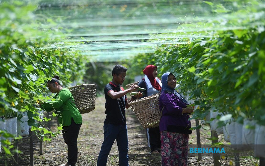 Tinta Minda BERNAMA - Hayati Kembara Perjuangan Wanita Teruskan 