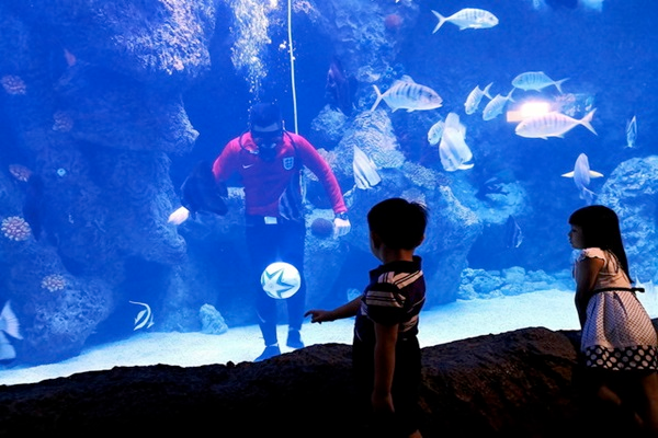 BERNAMA - The Shore oceanarium sasar peningkatan 10 peratus 