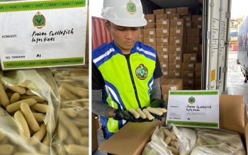 Penang MAQIS Seizes 27 Tonnes Of Frozen Sausages With Fake Import Documents