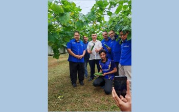 UTEM RESEARCHERS DEVELOP SMART FERTIGATION SYSTEM TO BOOST AGRICULTURAL PRODUCTION